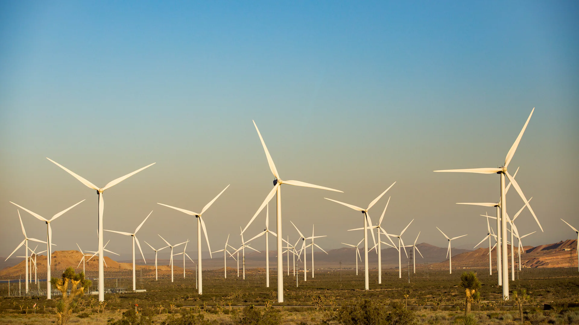 White three-bladed wind turbines across the Mojave Desert in warm evening light, with mountains behind them.